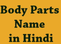 Parts of the body